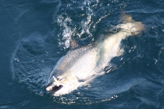 fishing photos