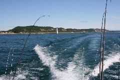 fishing photos