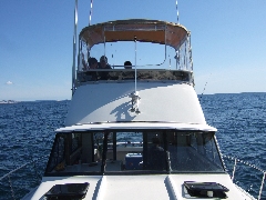 fishing photos