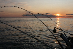 fishing photos