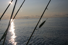 fishing photos