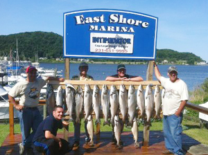 Salmon