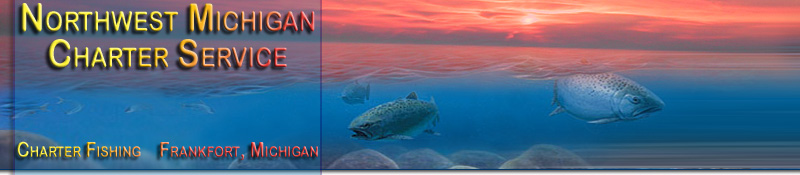 king salmon fishing on Lake Michigan from Frankfort